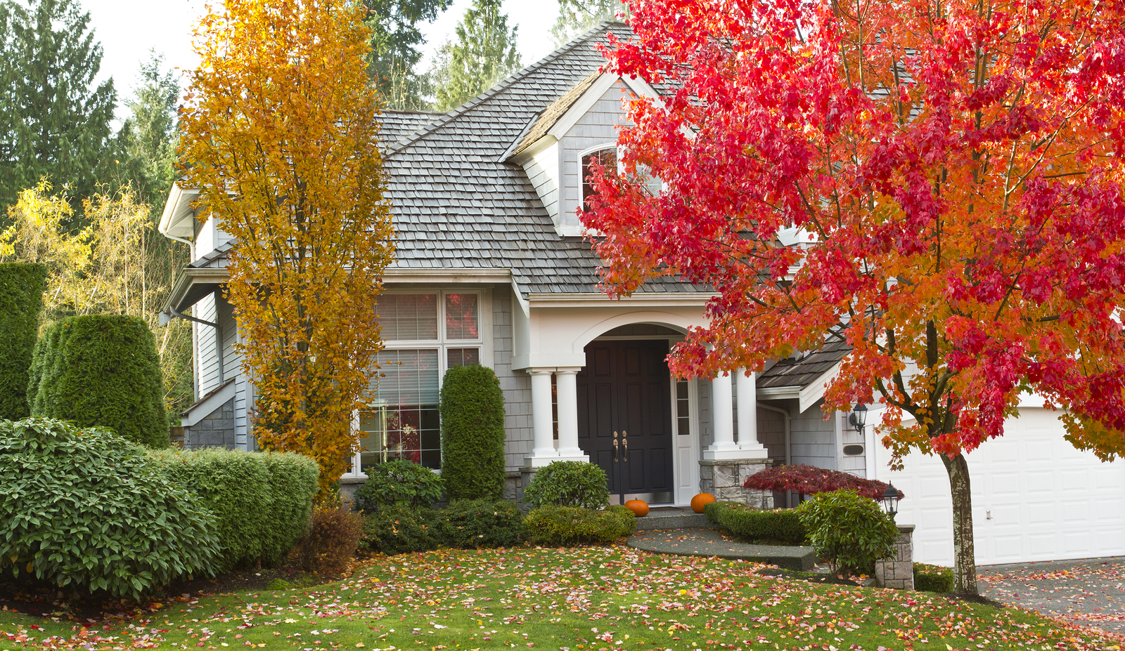 Fall in Love with Your Front Yard